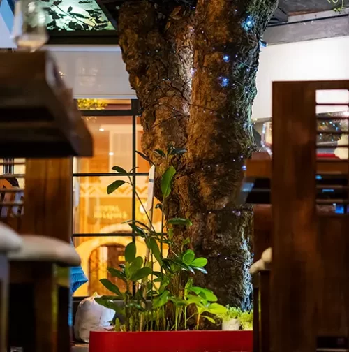 Achiote Restaurante árbol
